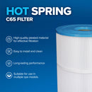 Hot Spring C65 Filter