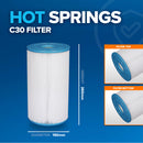 Hot Spring C30 Filter