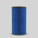 Hot Spring C30 Filter