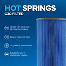 Hot Spring C30 Filter
