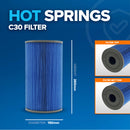 Hot Spring C30 Filter