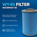 Waterway 50 (WY45) Microban Filter
