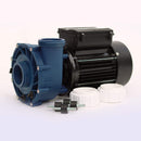 Gecko Massage Pump 3HP