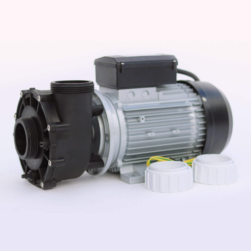 LX 2 Speed Pump 2" WP200-II-2SPD