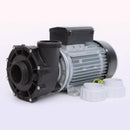 LX 2 Speed Pump 2" WP250-II