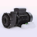 LX 2 Speed Pump 3" WP300-II
